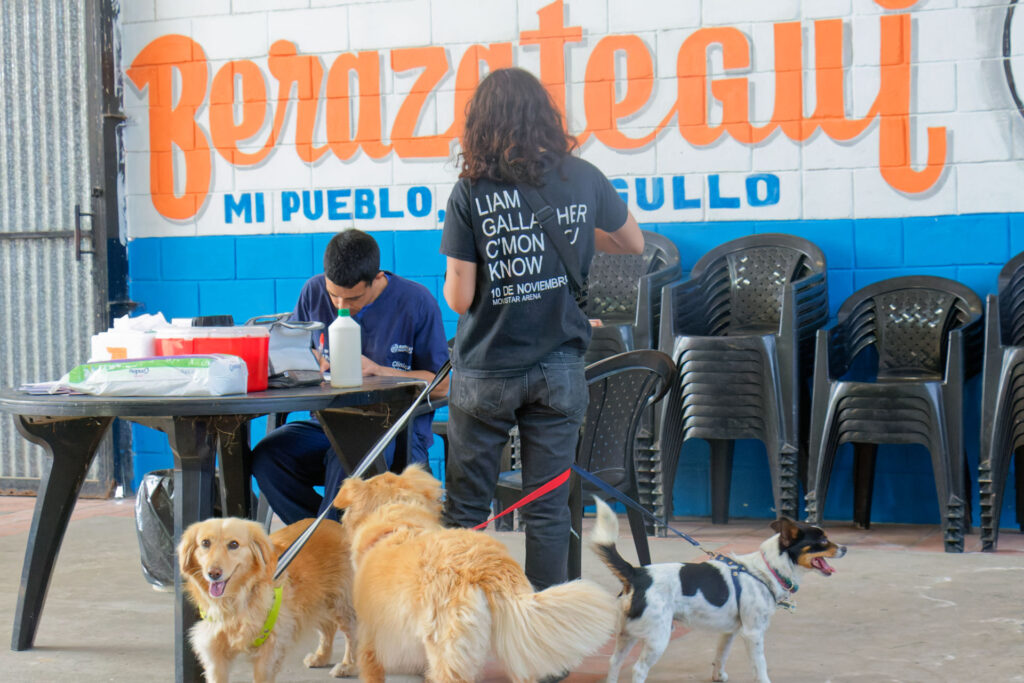 JORNADA GRATUITA DE SALUD ANIMAL EN VILLA MITRE