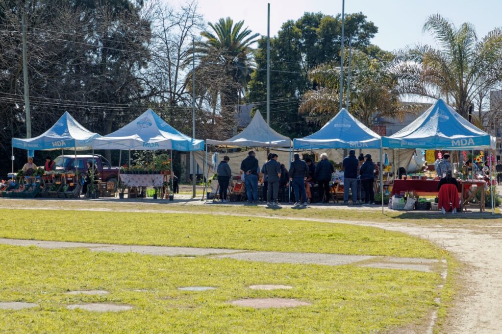 LAS MEJORES FRUTAS Y VERDURAS ESTÁN EN EL PATO