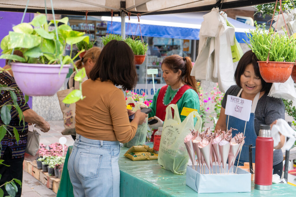 FLORES Y PLANTAS VARELENSES PARA REGALAR A MAMÁ