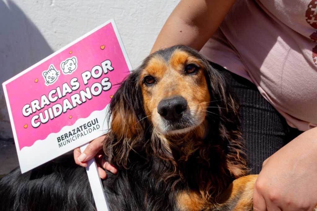 BERAZATEGUI: SERVICIOS DE SALUD ANIMAL GRATIS EN LOS BARRIOS