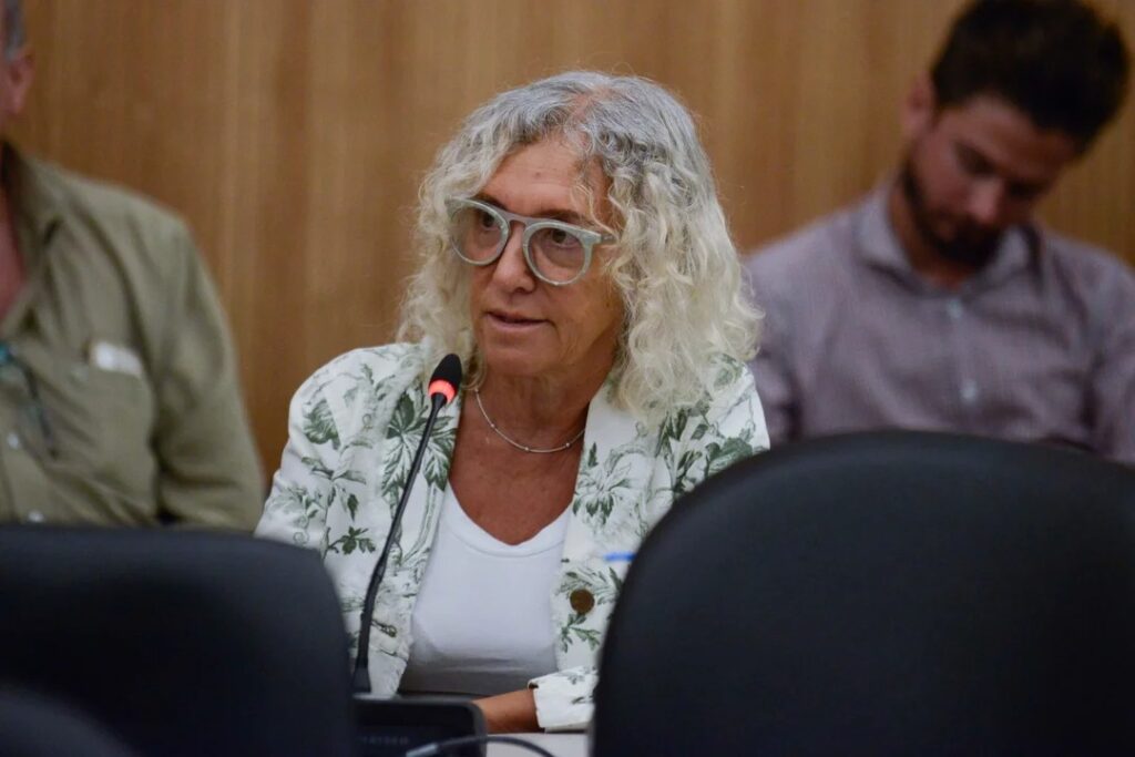 MÓNICA FRADE JUNTO A OTROS DIPUTADOS  PRESENTÓ UN AMPARO CONTRA EL DNU QUE AMPLÍA FACULTADES DE LA SIDE