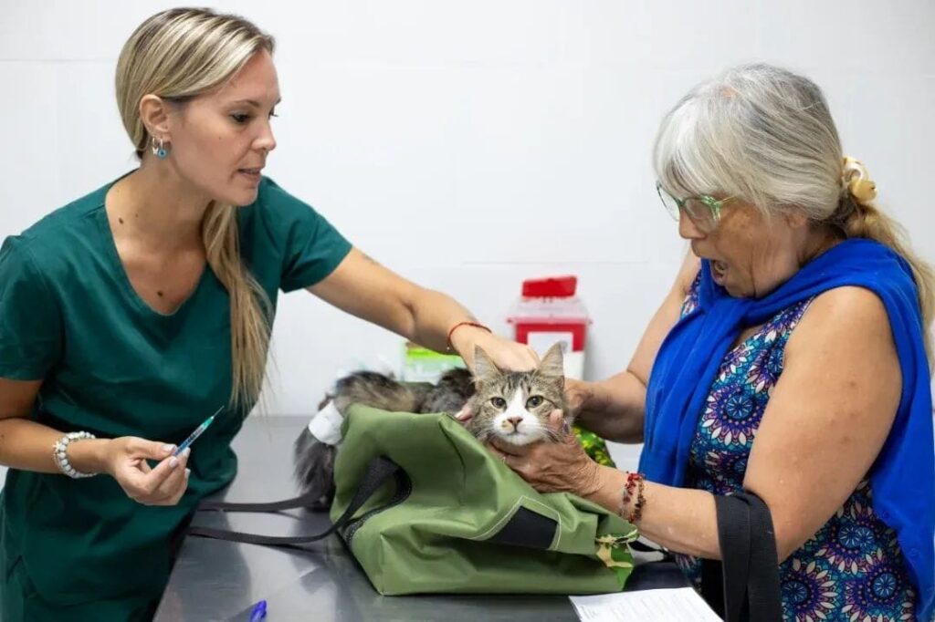 VETERINARIA MUNICIPAL: CASTRACIONES, VACUNACIÓN ANTIRRÁBICA Y DISTINTAS CIRUGÍAS Y ATENCIONES SIN COSTO PARA LAS Y LOS QUILMEÑOS