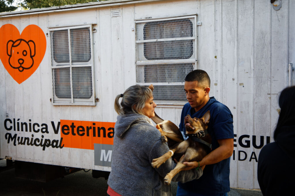 JORNADA GRATUITA DE SALUD ANIMAL EN SAN JUAN